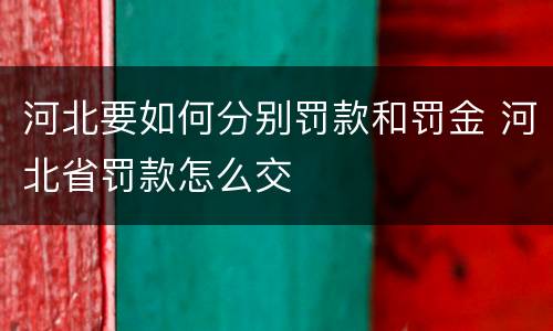 河北要如何分别罚款和罚金 河北省罚款怎么交
