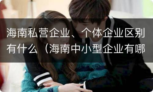 海南私营企业、个体企业区别有什么（海南中小型企业有哪些公司）