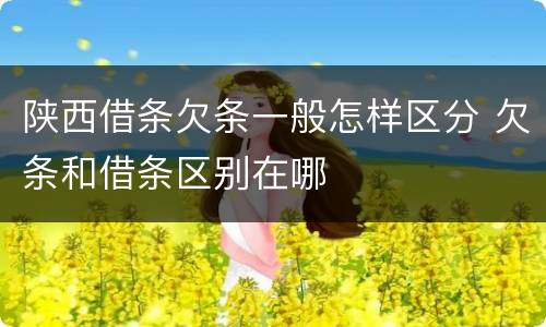 陕西借条欠条一般怎样区分 欠条和借条区别在哪