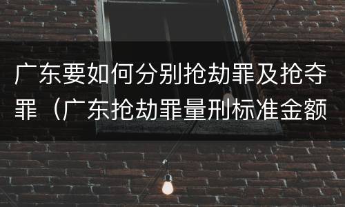 广东要如何分别抢劫罪及抢夺罪（广东抢劫罪量刑标准金额）