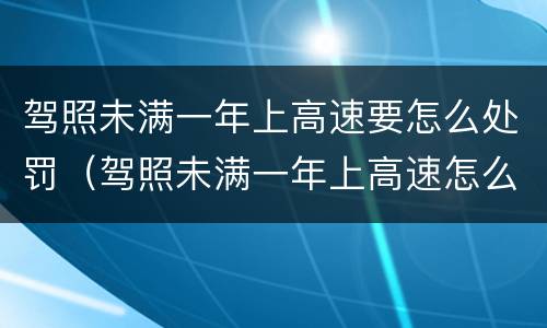 驾照未满一年上高速要怎么处罚（驾照未满一年上高速怎么处罚最新）