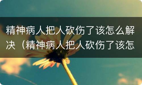 精神病人把人砍伤了该怎么解决（精神病人把人砍伤了该怎么解决问题）