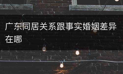 广东同居关系跟事实婚姻差异在哪