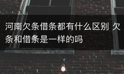河南欠条借条都有什么区别 欠条和借条是一样的吗