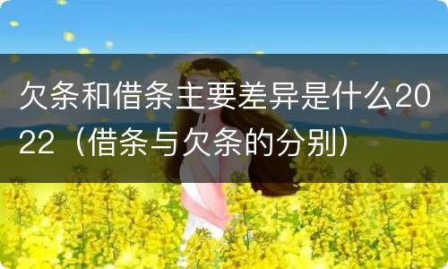 欠条和借条主要差异是什么2022（借条与欠条的分别）