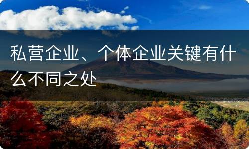 私营企业、个体企业关键有什么不同之处