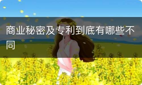 商业秘密及专利到底有哪些不同