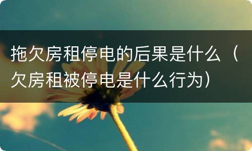 拖欠房租停电的后果是什么（欠房租被停电是什么行为）