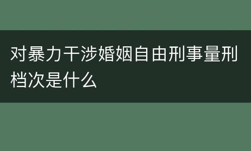 对暴力干涉婚姻自由刑事量刑档次是什么