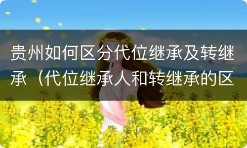 贵州如何区分代位继承及转继承（代位继承人和转继承的区别）