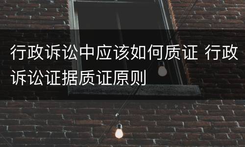 行政诉讼中应该如何质证 行政诉讼证据质证原则