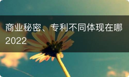 商业秘密、专利不同体现在哪2022