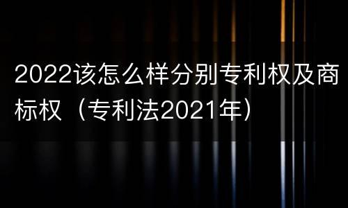 2022该怎么样分别专利权及商标权（专利法2021年）