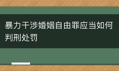 暴力干涉婚姻自由罪应当如何判刑处罚