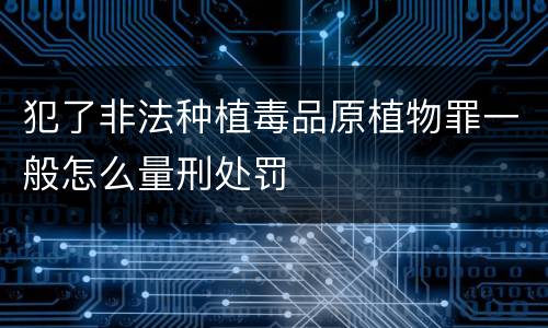 犯了非法种植毒品原植物罪一般怎么量刑处罚