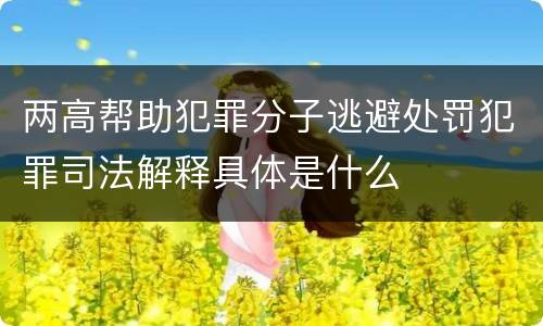 两高帮助犯罪分子逃避处罚犯罪司法解释具体是什么