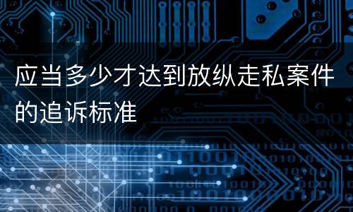 应当多少才达到放纵走私案件的追诉标准
