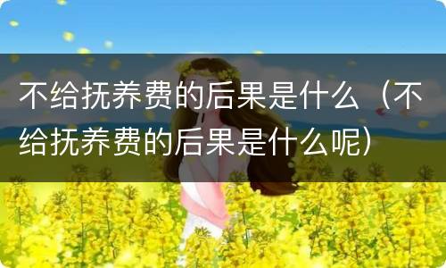 不给抚养费的后果是什么（不给抚养费的后果是什么呢）