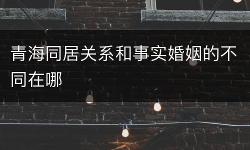 青海同居关系和事实婚姻的不同在哪