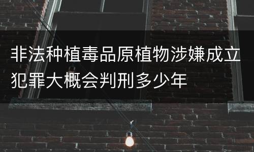 非法种植毒品原植物涉嫌成立犯罪大概会判刑多少年