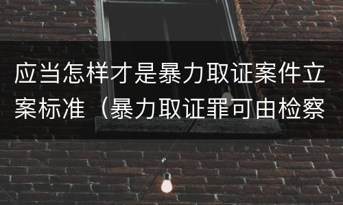 应当怎样才是暴力取证案件立案标准（暴力取证罪可由检察院立案侦查）