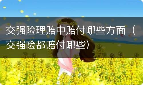 交强险理赔中赔付哪些方面（交强险都赔付哪些）
