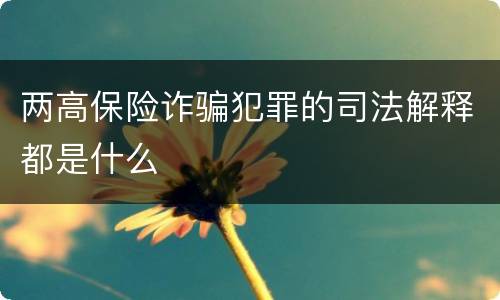 两高保险诈骗犯罪的司法解释都是什么