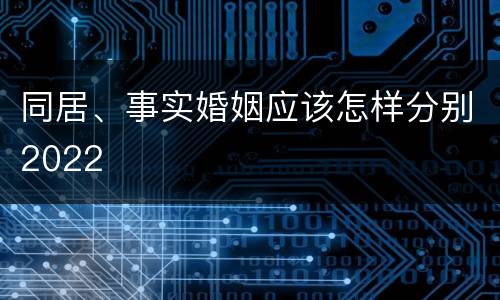 同居、事实婚姻应该怎样分别2022