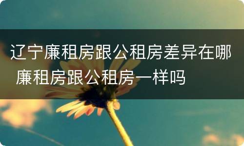 辽宁廉租房跟公租房差异在哪 廉租房跟公租房一样吗