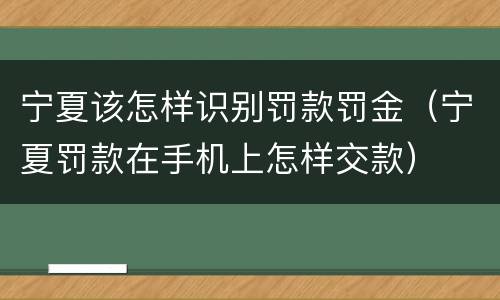 宁夏该怎样识别罚款罚金（宁夏罚款在手机上怎样交款）