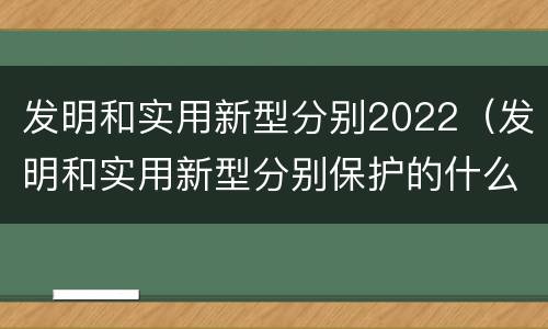 发明和实用新型分别2022（发明和实用新型分别保护的什么内容）