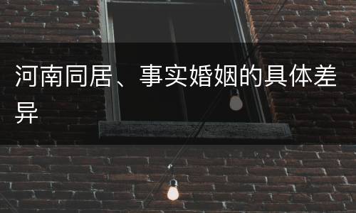 河南同居、事实婚姻的具体差异