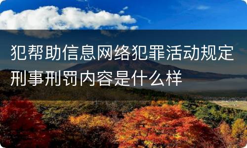 犯帮助信息网络犯罪活动规定刑事刑罚内容是什么样