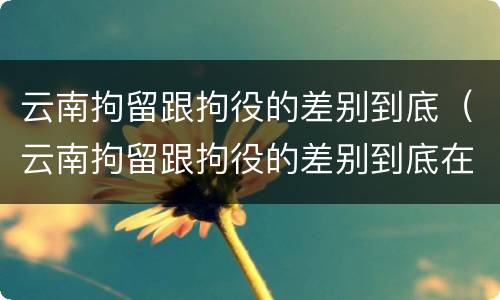 云南拘留跟拘役的差别到底（云南拘留跟拘役的差别到底在哪里）