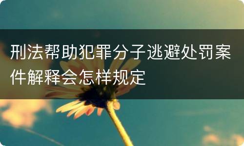刑法帮助犯罪分子逃避处罚案件解释会怎样规定