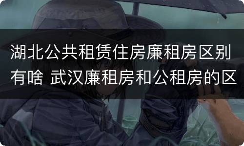 湖北公共租赁住房廉租房区别有啥 武汉廉租房和公租房的区别