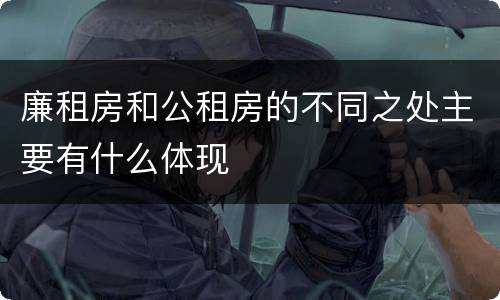 廉租房和公租房的不同之处主要有什么体现