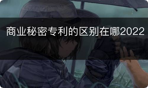 商业秘密专利的区别在哪2022