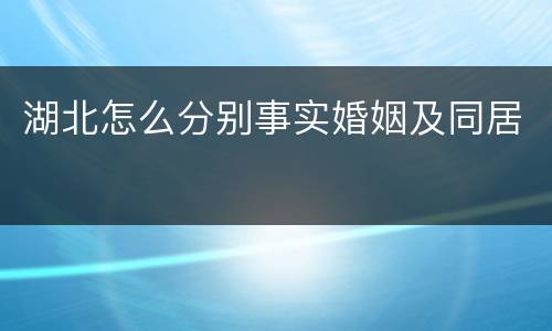 湖北怎么分别事实婚姻及同居
