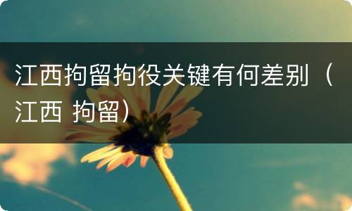 江西拘留拘役关键有何差别（江西 拘留）