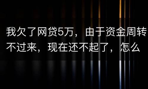 我欠了网贷5万，由于资金周转不过来，现在还不起了，怎么办