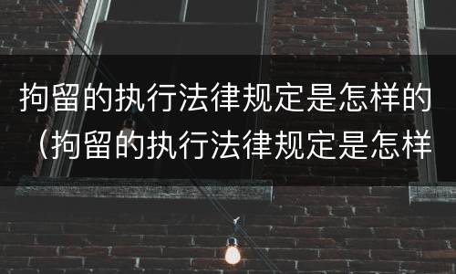 拘留的执行法律规定是怎样的（拘留的执行法律规定是怎样的呢）