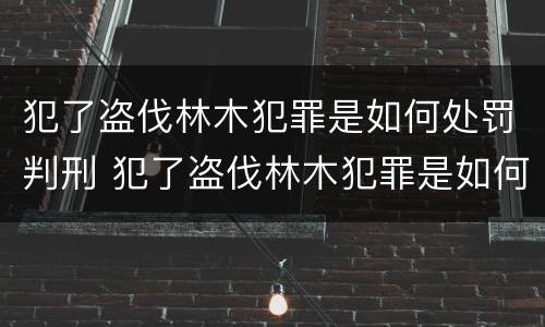 犯了盗伐林木犯罪是如何处罚判刑 犯了盗伐林木犯罪是如何处罚判刑的