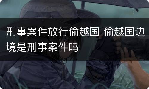 刑事案件放行偷越国 偷越国边境是刑事案件吗