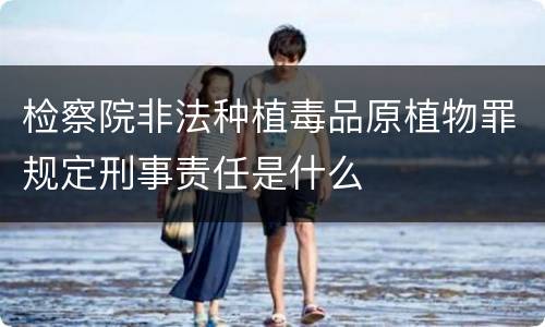 检察院非法种植毒品原植物罪规定刑事责任是什么