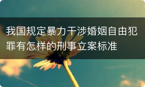 我国规定暴力干涉婚姻自由犯罪有怎样的刑事立案标准