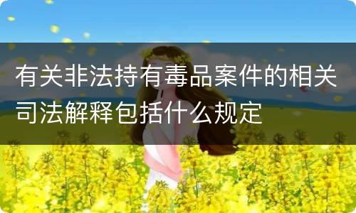 有关非法持有毒品案件的相关司法解释包括什么规定