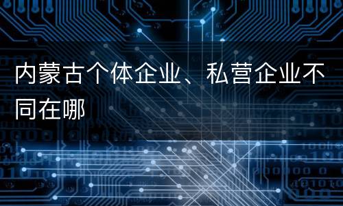 内蒙古个体企业、私营企业不同在哪