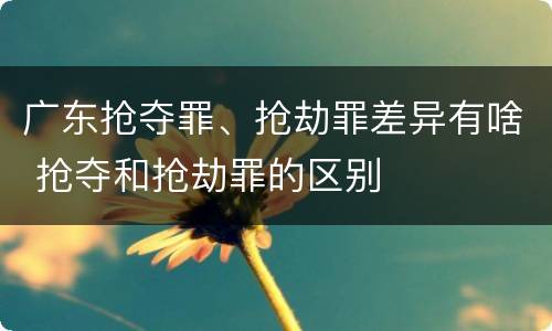 广东抢夺罪、抢劫罪差异有啥 抢夺和抢劫罪的区别