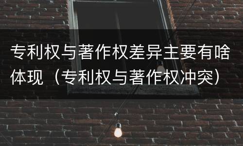 专利权与著作权差异主要有啥体现（专利权与著作权冲突）